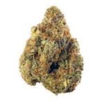 Afghani Weed Strain Queanbeyan