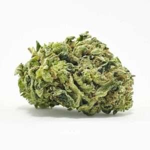 amnesia haze marijuana