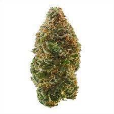 Apple Jack Weed Strain Cranbourne