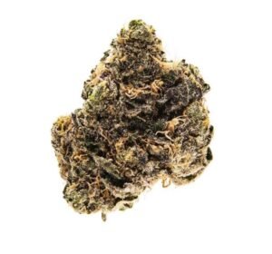 Bacio Gelato Marijuana Strain Victoria