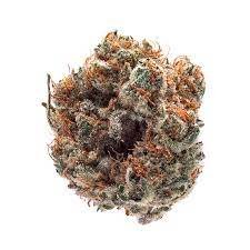 Bio-Jesus Cannabis Strain Coffs Harbour