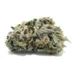 Biscotti Cannabis Strain AU