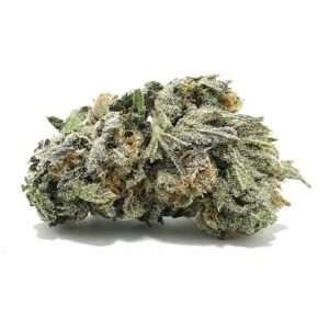 Biscotti Cannabis Strain AU