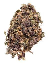 Blackberry weed strain Tamworth