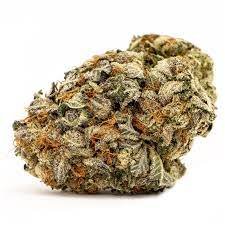 Blood Diamond OG Weed Strain Caloundra