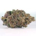 Blue God Marijuana Strain Southport