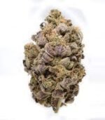 Blue Widow Marijuana Strain Bundaberg
