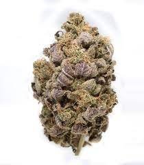 Blue Widow Marijuana Strain Bundaberg