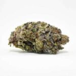 Buy Blue Cookies Weed Strain AU