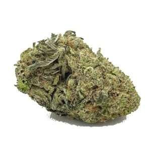 Buy Chemo Weed Strain AU