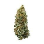 Cannatonic Marijuana Strain New South Wales