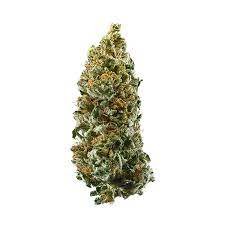 Cannatonic Marijuana Strain New South Wales
