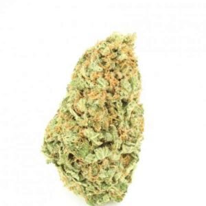 Cheese Marijuana Strain NZ
