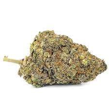 Chocolate OG Marijuana Strain Dandenong