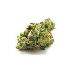 Cookie Glue Weed Strain Toowoomba
