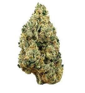 Cookies and Cream Cannabis Strain Pakenham