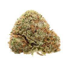 Elmer's Glue Cannabis Strain AU
