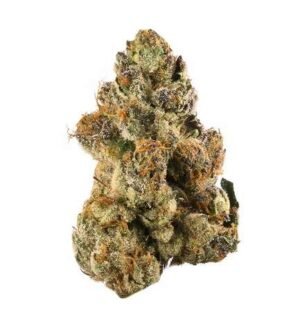 Gelato Marijuana Strain AU