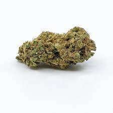 God Bud Weed Port Macquarie