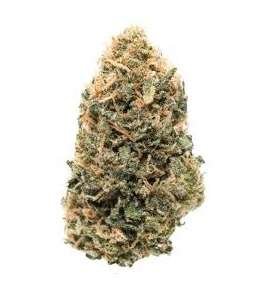 Golden Pineapple Cannabis Strain Wollongong