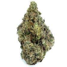 Jack Frost Marijuana Strain AU