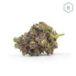 Jedi Kush Cannabis Strain Bathurst
