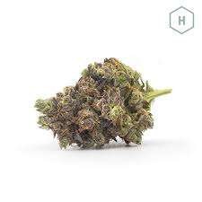 Jedi Kush Cannabis Strain Bathurst
