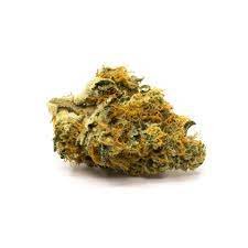 Jenny Kush Cannabis Strain Darwin
