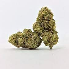 Kashmir Kush Weed Strain Ballarat
