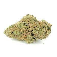 Larry OG Marijuana Strain Adelaide