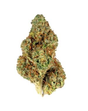 Lemon OG Marijuana Strain Victoria