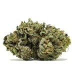 MK Ultra Cannabis Strain Traralgon