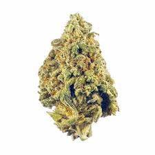 Nepal Kush Marijuana Strain Lismore