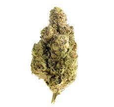 OG Marijuana Strain AU