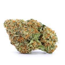 Orange Sherbet Marijuana Strain AU