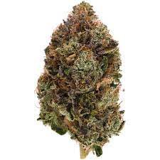 Pine Tar Kush Weed Strain NZ