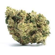 Pineapple Chunk Marijuana Strain Maitland