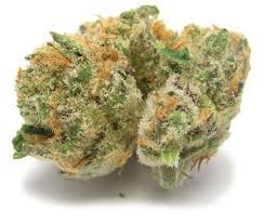 Pink Cookies Marijuana Strain Launceston