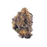 Purple Lights Marijuana Strain AU
