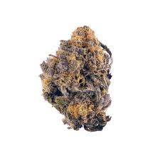 Purple Lights Marijuana Strain AU