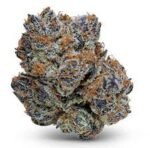 Samoa Marijuana Strain Queensland