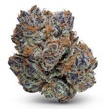 Samoa Marijuana Strain Queensland