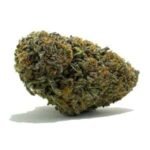 Slurricane Cannabis Strain Maryborough