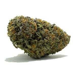 Slurricane Cannabis Strain Maryborough