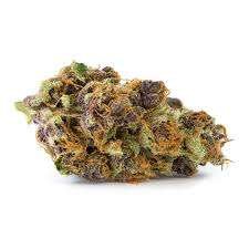 Tangerine Dream Marijuana Strain Perth