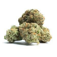 Thin Mint Girl Scout Cookies Marijuana Strain Melbourne