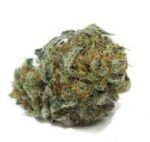 William's Wonder Weed Strain Kalgoorlie