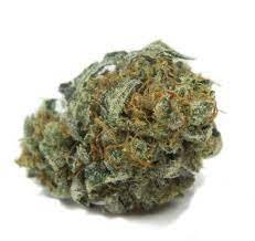 William's Wonder Weed Strain Kalgoorlie