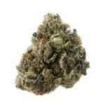 Zookies Marijuana Strain Bendigo